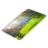 Sunburst Herfst Foliage op het meer van de eilande Magneet (Linkerzijde)