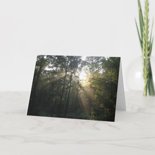 Sunburst in de Trees All Occasion Card (Blank) Feestdagen Kaart (Voorkant)