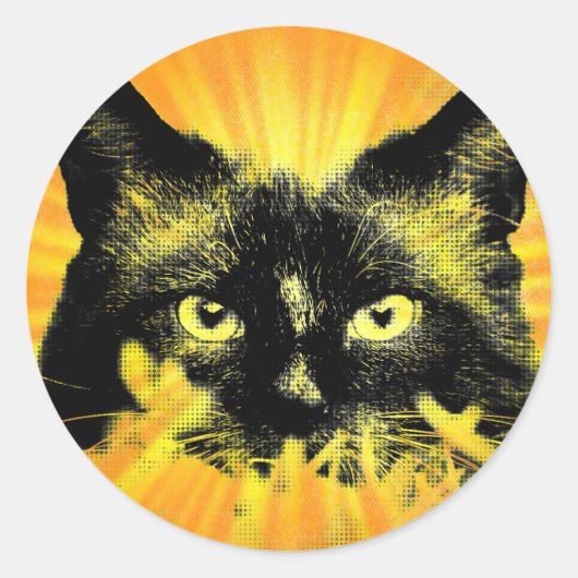 Sunburst Kitty Kat Abstract Feline Art Sticker (Voorkant)
