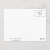 Sunburst Phoenix Briefkaart (Achterkant)