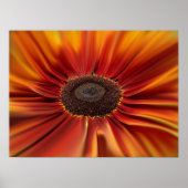 Sunburst Poster (Voorkant)