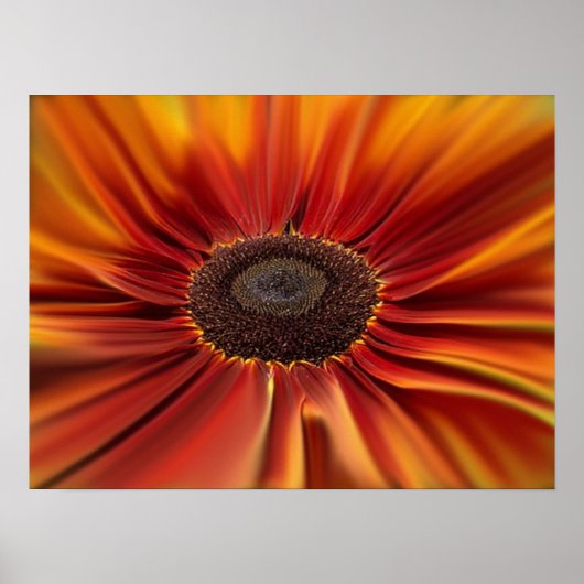 Sunburst Poster (Voorkant)