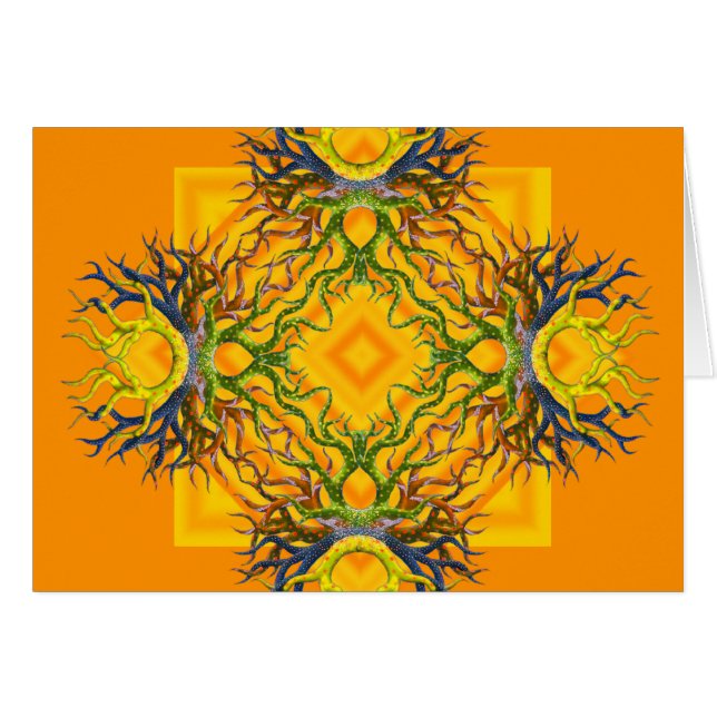 Sunburst Up Close (Voorkant Horizontaal)
