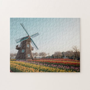 Suncheon Bay Het Nederlandse Tuin Windmolen Tulp L Legpuzzel
