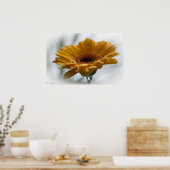 Sunchyme Gerbera Poster (Keuken)