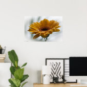 Sunchyme Gerbera Poster (Thuiskantoor)