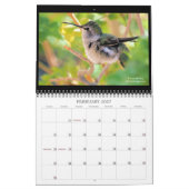Suncrest 2021 Hummingbird Calendar Kalender (Feb 2027)