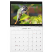 Suncrest 2021 Hummingbird Calendar Kalender (Jan 2027)