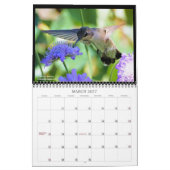 Suncrest 2021 Hummingbird Calendar Kalender (Mar 2027)