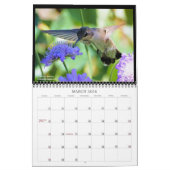 Suncrest 2021 Hummingbird Calendar Kalender (Mar 2026)