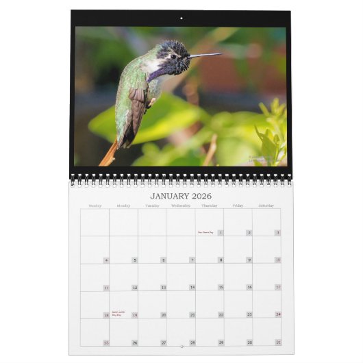 Suncrest 2021 Hummingbird Calendar Kalender (Jan 2026)