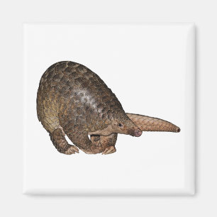 Sunda Pangolin Magneet