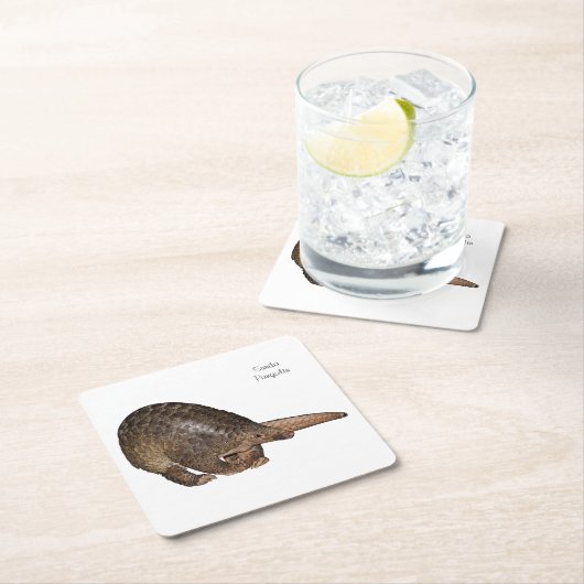 Sunda Pangolin Onderzetters (Insitu)