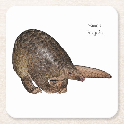 Sunda Pangolin Onderzetters (Voorkant)