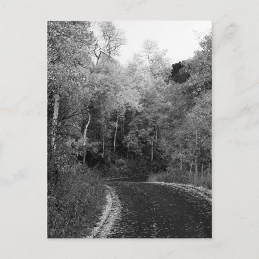 Sundance, Utah Briefkaart (Voorkant)