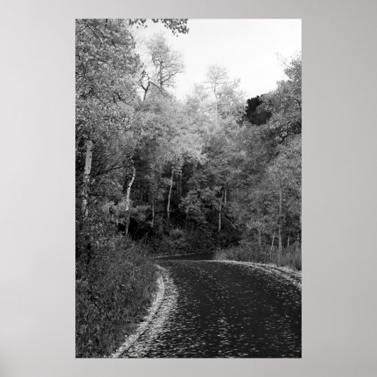 Sundance, Utah Poster (Voorkant)