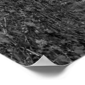 Sundance, Utah Poster (Hoek)