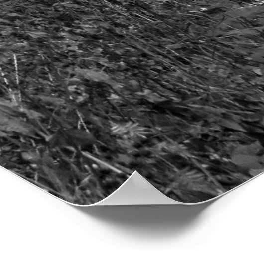 Sundance, Utah Poster (Hoek)