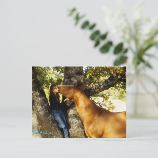 Sundance whisper briefkaart (Staand voorkant)