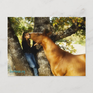 Sundance whisper briefkaart