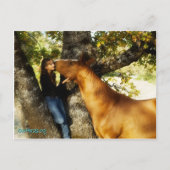 Sundance whisper briefkaart (Voorkant)