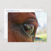 Sundance world briefkaart (Voorkant / Achterkant)