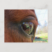 Sundance world briefkaart (Voorkant)