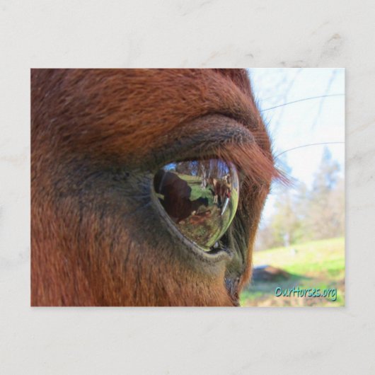 Sundance world briefkaart (Voorkant)