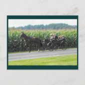 ~ Sunday 12 3 ~ Briefkaart (Voorkant)