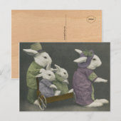 Sunday Bunnies Briefkaart (Voorkant / Achterkant)