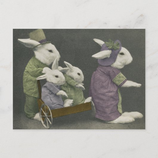 Sunday Bunnies Briefkaart (Voorkant)