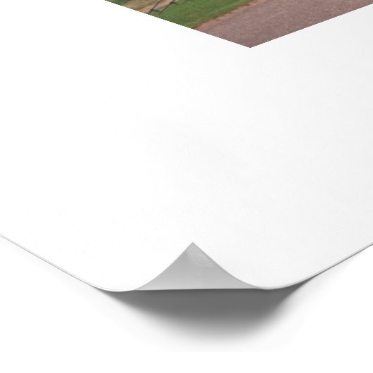 Sunday Morning Amish Gathering Poster (Hoek)