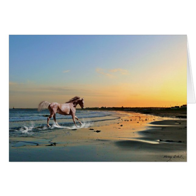 Sunderland - Seaburn Beach (Voorkant Horizontaal)