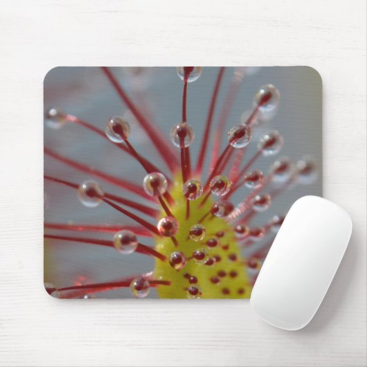 Sundew Carnivorous Plant Mousepad Muismat (Met muis)