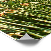 Sundial in een tuin van Guernsey Poster (Hoek)