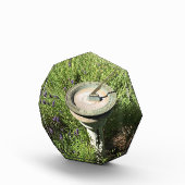 Sundial in Lavender Fotoblokken (Rechts)