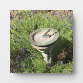 Sundial in Lavender Fotoplaat (Voorkant)