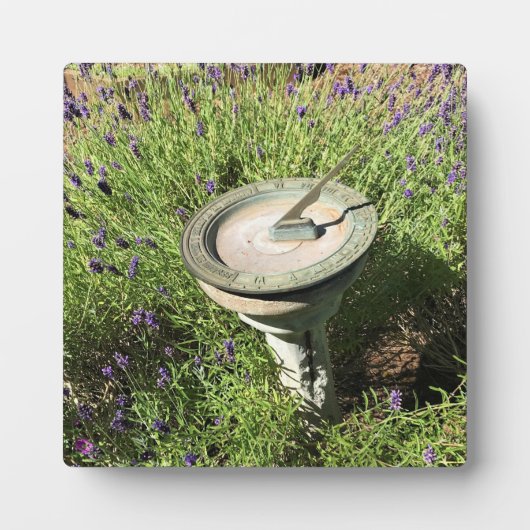 Sundial in Lavender Fotoplaat (Voorkant)