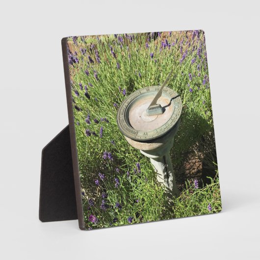 Sundial in Lavender Fotoplaat (Voorkant)