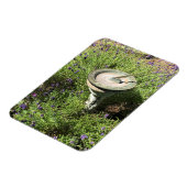 Sundial in Lavender Magneet (Linkerzijde)