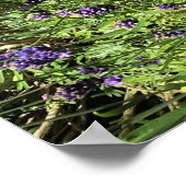 Sundial in Lavender Poster (Hoek)