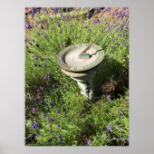 Sundial in Lavender Poster (Voorkant)