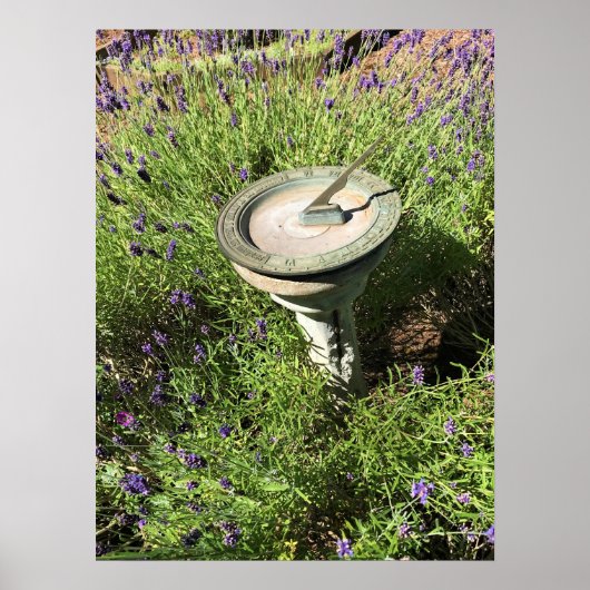 Sundial in Lavender Poster (Voorkant)