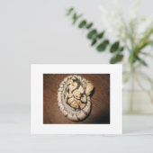 Sundin Ball Pythons Briefkaart (Staand voorkant)