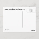 Sundin Ball Pythons Briefkaart (Achterkant)