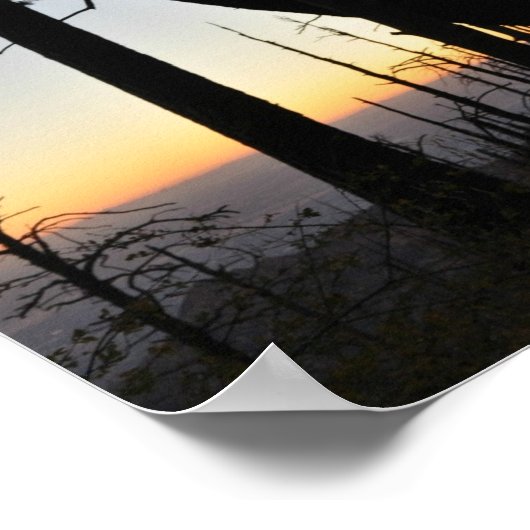 Sundown Silhouette Poster (Hoek)