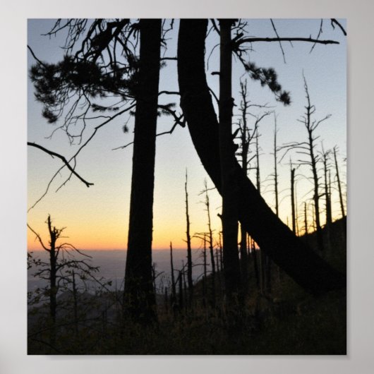 Sundown Silhouette Poster (Voorkant)