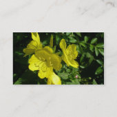 Sundrops Primrose Visitekaartje (Achterkant)