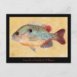 Sunfish Art Kaart