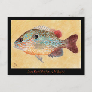 Sunfish Art Kaart
